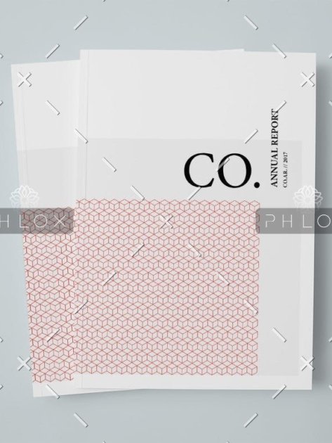 demo-attachment-18-CO.-Annual-Report